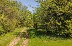 830 MCKNIGHT Loop, Mason, TN 38049