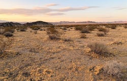 11 Saddle Rock Way, Johnson Valley, CA 92285