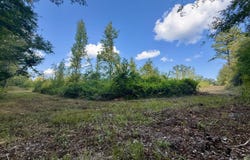 Cooper Road, Camden, MS 39045