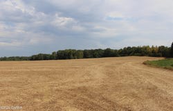 Highway 138, Mercer, TN 38392
