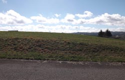 Canary Lane lot: 32/33, Speedwell, TN 37870