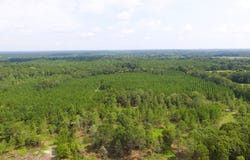 86.73 AC Tremont Rd, Cordele, GA 31015