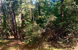 17325 Fernbrook, Middletown, CA 95461