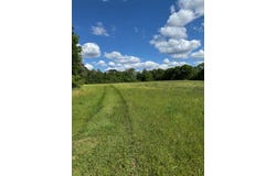 2824 FM 705, Bronson, TX 75929