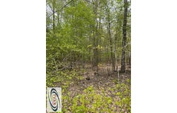 Kelly Road, HOLLADAY, TN 38317