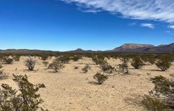 TR:604C LTM Rd, Terlingua, TX 79852