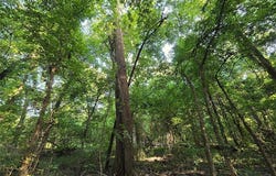 19080 E Post Oak Road, Noble, OK 73068
