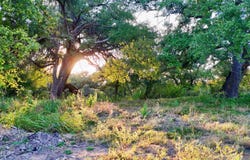 GBE - 6 County Road 104, Llano, TX 78643