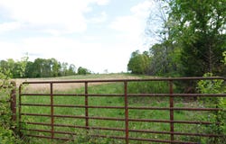 State Route M Highway, Koshkonong, MO 65692