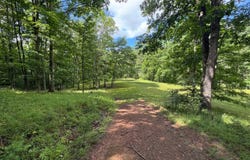 243 Davis Run Rd, Pennsboro, WV 26415