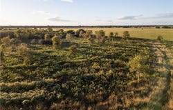 CR 325, Louise, TX 77455