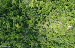 Cove Point Rd, LaFollette, TN 37766