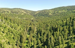 6 Tract, Garnet Range, Drummond, MT 59825