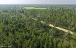1 Ed Harrell Road, Hortense, GA 31543