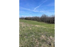 5620 Silver Lake Road, Clever, MO 65631