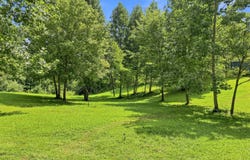 1133 Wheeler Rd, Harrogate, TN 37752