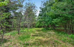 8355 Halfmoon Lake Drive, Iron River, WI 54847