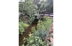 270 Kilkare Rd, Sunol, CA 94586