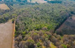 CR 4308 Reno Rd, Naples, TX 75568