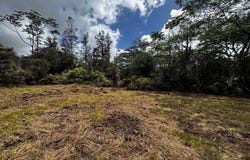 40TH AVE, Keaau, HI 96749