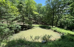281 Eclipse Ln, Arbovale, WV 24915