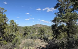 363 & 364 Big View, Ash Fork, AZ 86320