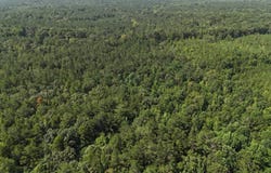 Hwy 413, Kilmichael, MS 39747