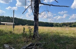85 Burns Lane, Lavinia, TN 38348