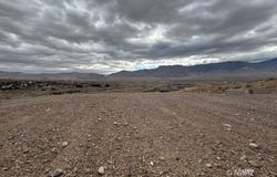 Cactus, Littlefield, AZ 86432
