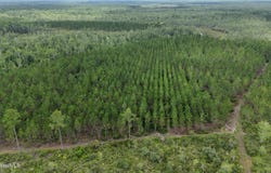 Fire Tower Road, Manor, GA 31550