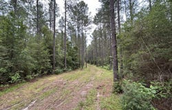 6643 Grange Hall Road, Osyka, MS 39657