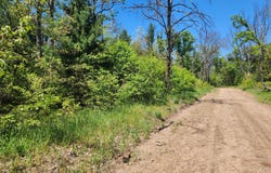 VL S Delaware Avenue, Baldwin, MI 49304
