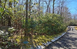 108 Hemlock Trail, Cleveland, SC 29635