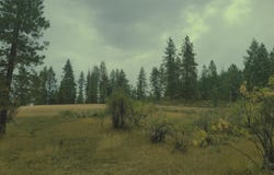 Adams County, Council, ID 83612