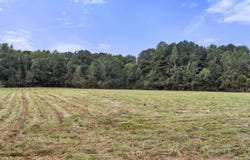 8.32 +/- County Road 71, Centre, AL 35960