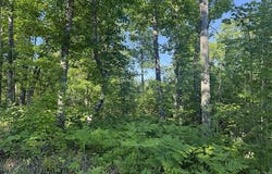4 County Road T, Danbury, WI 54830