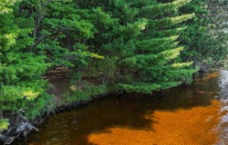 Off CAMPGROUND RD lot: 2, Three Lakes, WI 54562