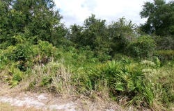 832 Memorial Drive, Sebring, FL 33870