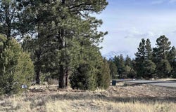 1960 Marmot Drive, Ridgway, CO 81432