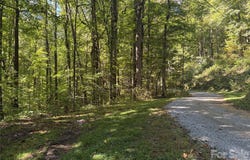 14 Fern Trail, Waynesville, NC 28786