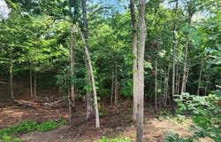 610 Alpine Rd, CAMDEN, TN 38320