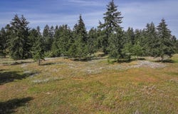 405 Riverside Rd. Lot C, Sequim, WA 98382