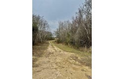 Whitfield Road, Elko, GA 31025