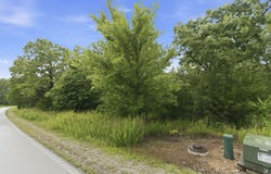 Beechwood Drive lot: 139, Branson West, MO 65737