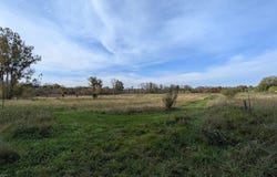 4785 W Britton Road, Perry, MI 48872