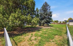 113 5th St, Dacono, CO 80514