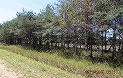 440 KLEEHAMMER CLUB DRIVE, KALKASKA, MI 49646