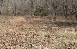 Superior Road, St Robert, MO 65584