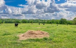 371 Highway 128, Bismarck, AR 71929