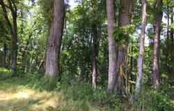 9206 DESIARD TRACE lot: 48, Sterlington, LA 71280